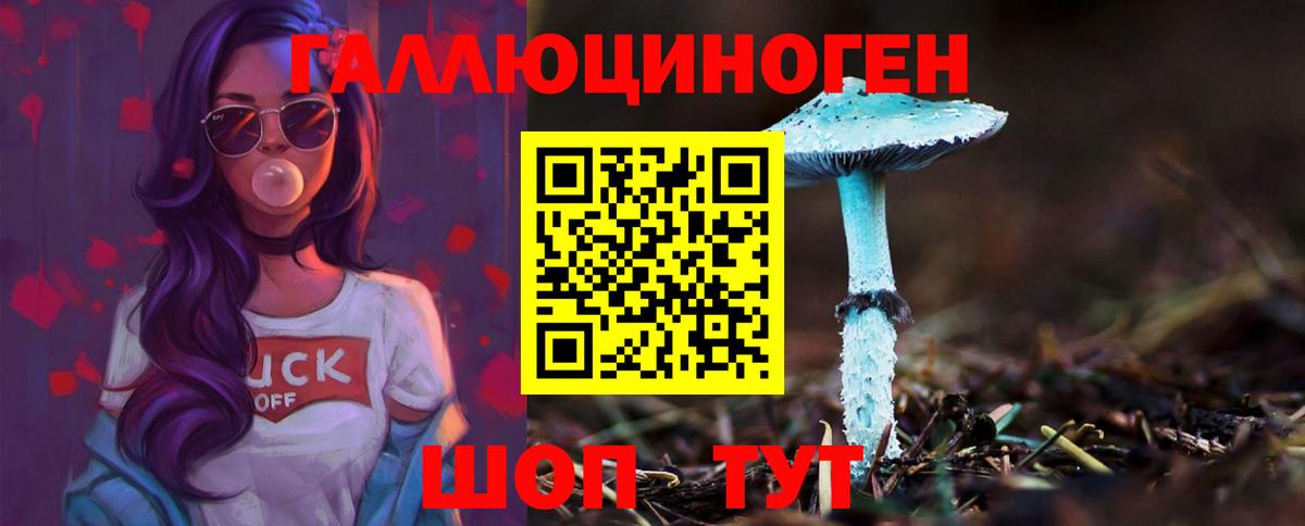 Пенза  Галлюциногенные грибы прущие грибы  Вход с VPN 